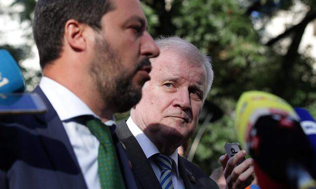 Italy's Matteo Salvini and Germany's Horst Seehofer are seen during a statement ahead of an informal meeting of EU's Home Affairs Ministers in Innsbruck