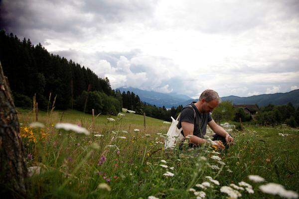 Christoph Fink sammelt Schätze aus Wald und Wiesen rund um den Millstätter See.