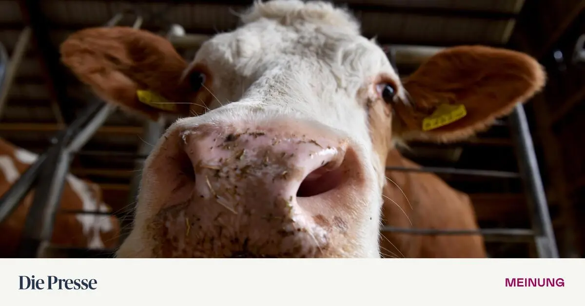 EU-Von-der-Freihandelszone-zur-weltgr-ten-Bauerngewerkschaft-premium-