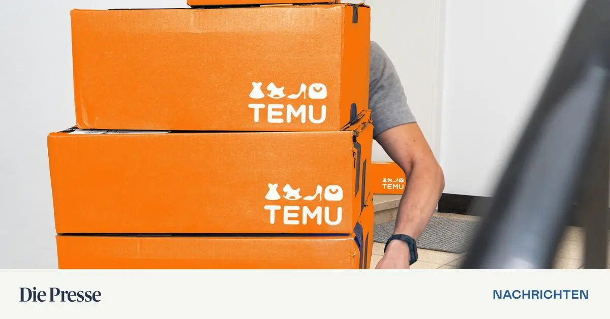 Alterskontrolle-bei-Waffen-und-Erotikartikel-Temu-muss-Jugendschutz-verbessern