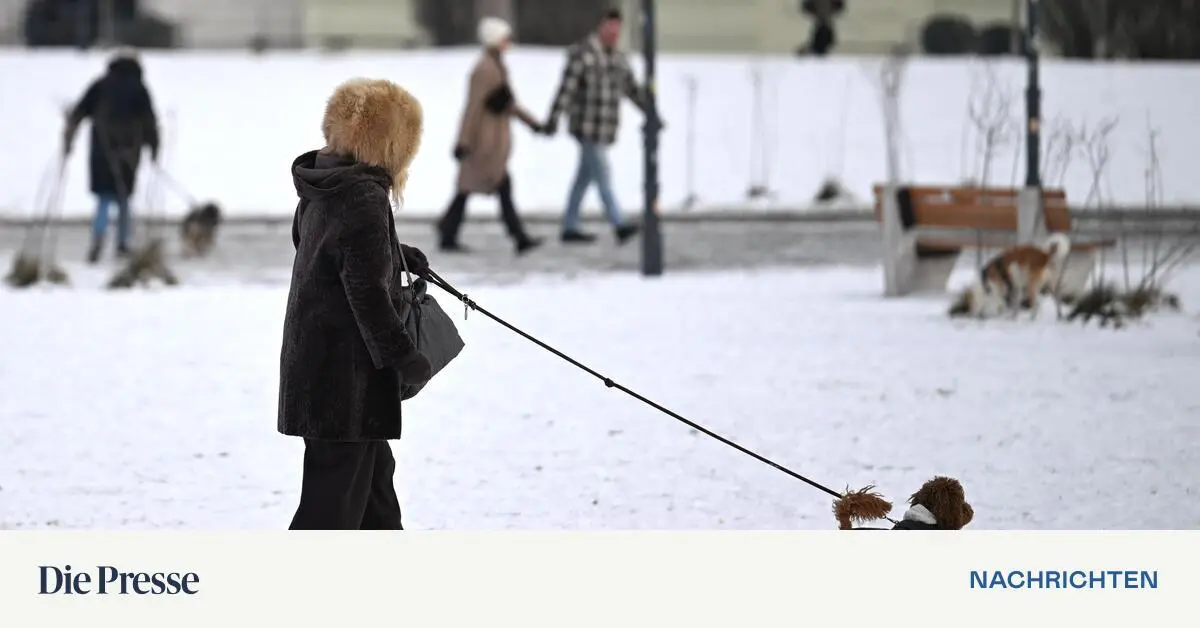 J-nner-war-im-Tiefland-sterreichs-k-ltester-seit-neun-Jahren