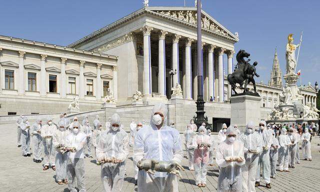 TIERSCH�TZER PROTESTIERTEN GEGEN KASTENST�NDE IN DER SCHWEINEZUCHT