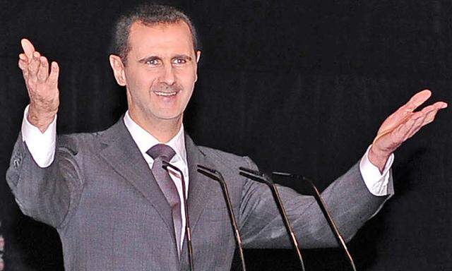 Assads Friedensplan fuer Syrien