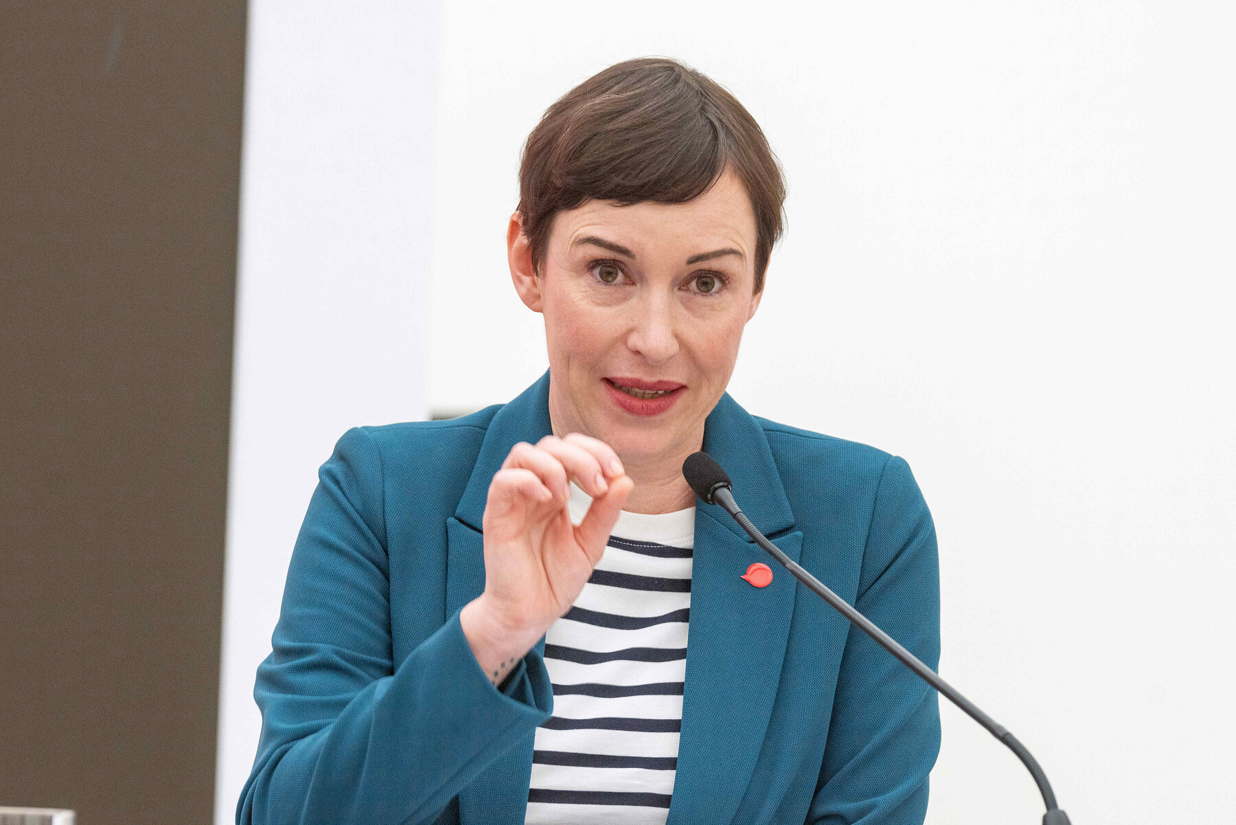 „Fassungslose“ Neos über schwarz-rote Packelei bei ORF-Besetzung [premium]