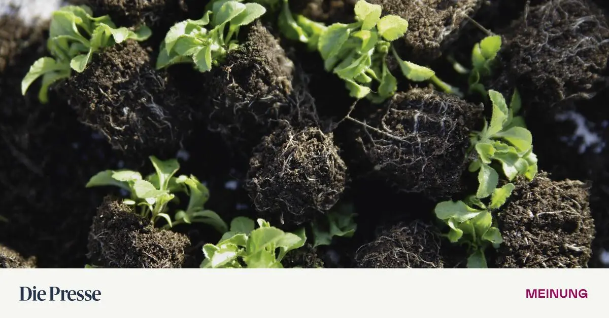 Reiches-Leben-im-Untergrund-premium-