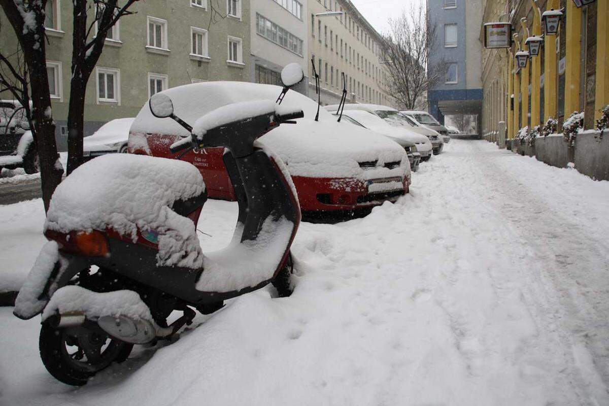 Der Schneefall der vergangenen Nacht hat Wien in eine Winterlandschaft verwandelt - Verkehrschaos und Schneeballschlachten inklusive.Fotos: Bernhard Lichtenberger, DiePresse.com
