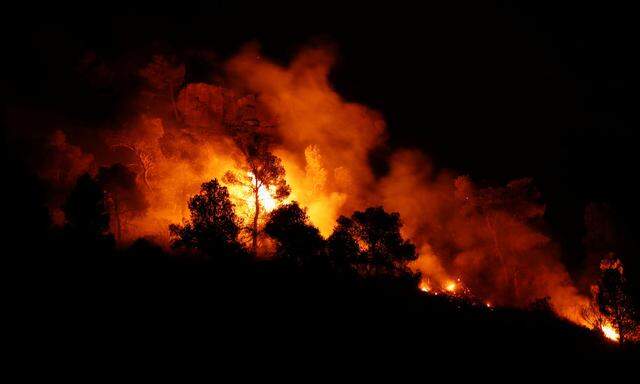 In Katalonien wüten die schlimmsten Waldbrände seit 20 Jahren