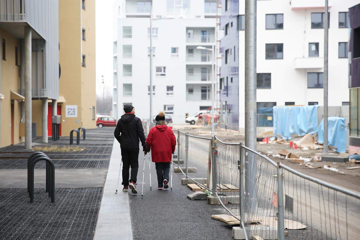 Seit rund vier Monaten leben in der Seestadt Aspern die ersten Bewohner.