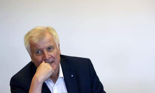 Horst Seehofer wagt eine Prognose des Ist-Zustandes, was die AfD betrifft.