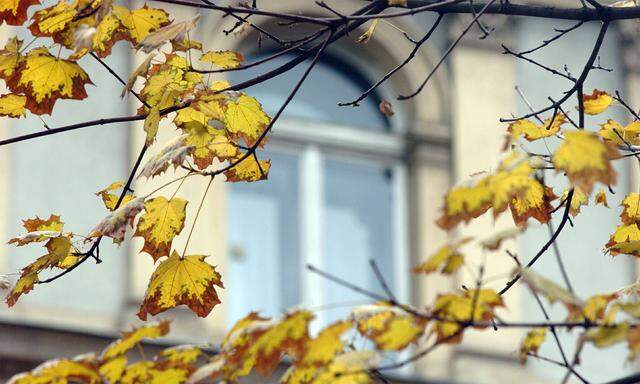 Symbolbild: Herbst in Wien.