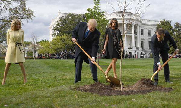Die beiden Politiker pflanzten im Garten des Weißen Hauses einen Eichenbaum. Die Steineiche stammt aus einem Wald im französischen Aisne, wo zum Ende des Ersten Weltkriegs Tausende US-Soldaten ihr Leben gelassen hatten.  