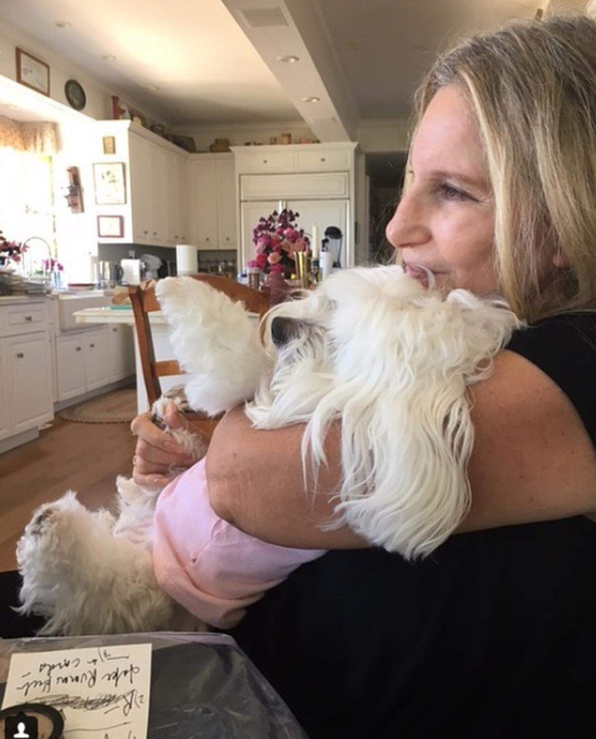 Hollywood-Schauspielerin Barbra Streisand hat ihren sterbenden Hund geklont - gleich zwei Mal. Das erzählte die 75-Jährige in einem am Dienstag veröffentlichten Interview des US-Magazins "Variety". Demnach entnahm sie Zellen aus dem Maul und dem Bauch ihres Hundes Samantha, als dieser im vergangenen Jahr starb. Details zum anschließenden Verfahren nannte sie nicht.