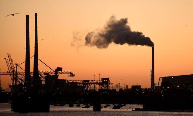 FILE PHOTO: A bird flies over Dublin Port at sunrise in Dublin