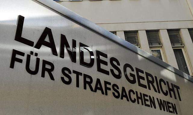 Im Straflandesgericht Wien wurde die 33-jährige Wienerin zu zwei Jahren teilbedingter Haft verurteilt.