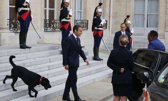 Macron und sein neuer Hund Nemo heißen Mahamadou Issoufou, Präsident von Niger, im Éysée-Palast willkommen.