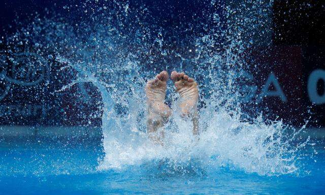 Muss der BSG-Geschäftsführer ins kalte Wasser springen oder ist er ein alter Bekannter im Funktionärsschwimmbecken? 