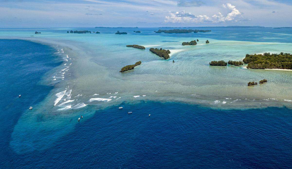 Die winzige Nation Palau, eine Gruppe pazifischer Inseln mit einer Gesamtbevölkerung von nur 20.000 Einwohnern, kehrt zum vierten Mal in Folge auf die Liste der ethischen Ziele zurück. Dank eines neuen nationalen Gesetzes über Meeresschutzgebiete wird Palau den Schutz der Riffe weiter vorantreiben und sich der lokalen Freiland- und Küstenfischerei zuwenden. Im Januar 2020 wird Palau 80 Prozent seiner Meeresgewässer für den Fischfang sperren und ein immenses Meeresschutzgebiet schaffen, das doppelt so groß ist wie Mexiko. Außerdem haben sich die Behörden dazu verpflichtet, Reformen einzuführen, die das Land aus der Liste der Steueroasen streichen wird.