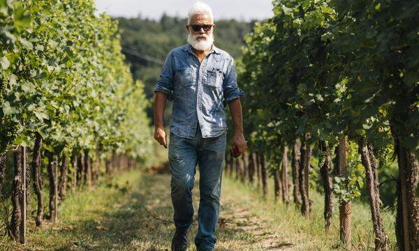 Marco Simonit in seinem Element: im Weingarten mit der Schere in der Hand.