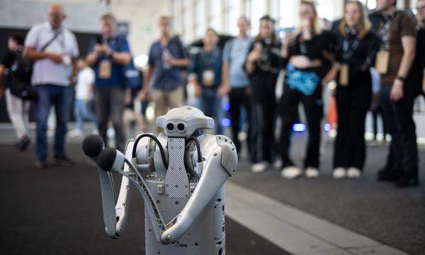 Der Roboter Go1 steht während der Internationalen Funkausstellung (IFA) in der Messe Berlin.
