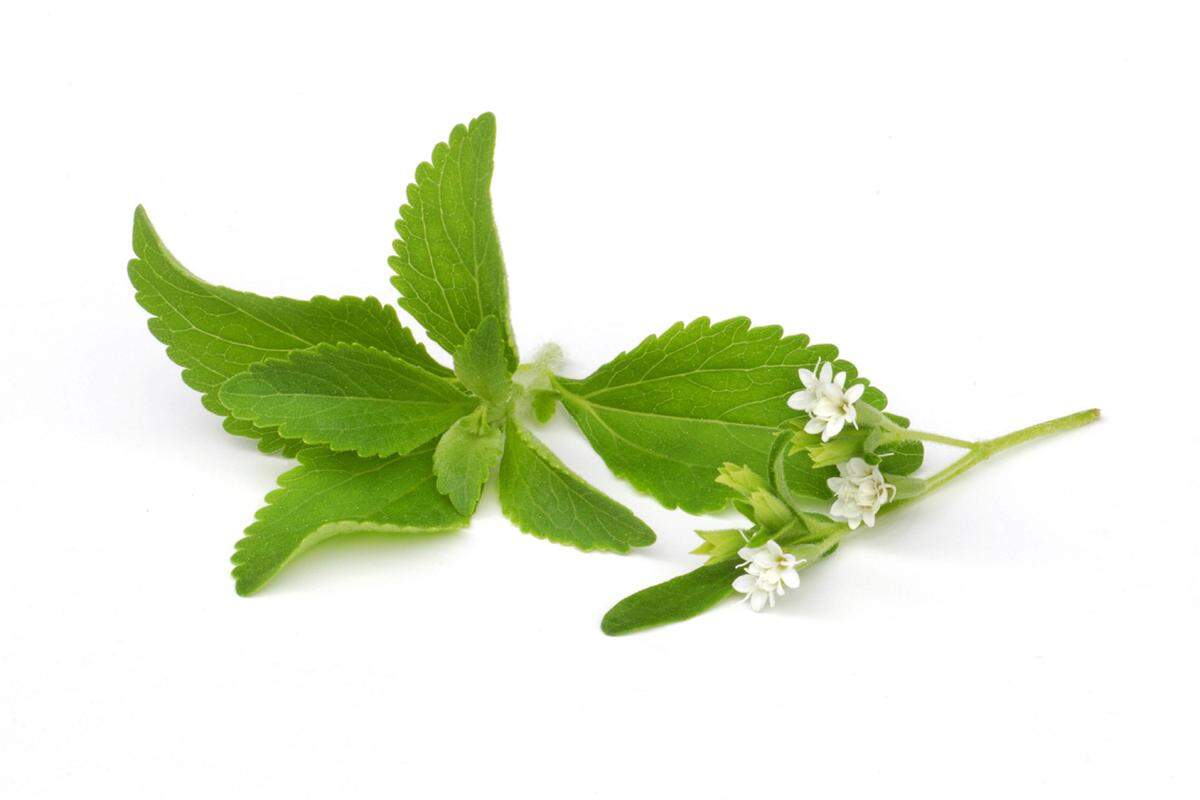 Stevia wird ursprünglich aus der südamerikanischen, gleichnamigen "Stevia-Pflanze" gewonnen - mittlerweile wird der Süßstoff aber auch industriell hergestellt. Er ist kalorienfrei, hat keinerlei Auswirkungen auf den Blutzuckerspiegel und ist etwa 300 Mal so süß wie normaler Zucker. Einziger Nachteil: Der Geschmack erinnert an Süßholz, und das ist Geschmackssache.