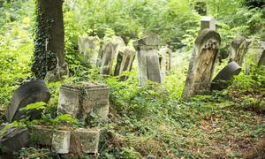 Jüdischer Friedhof in Wien Währing