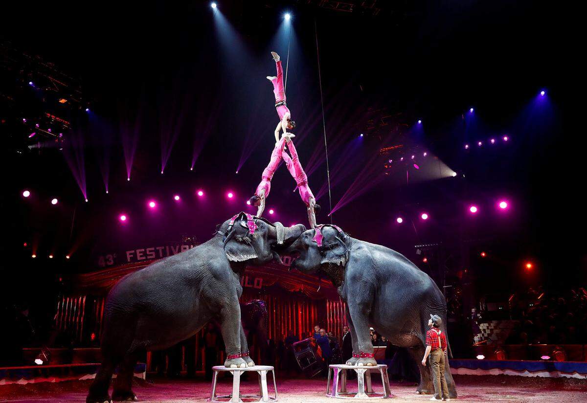 Tiere sind im Zirkus nur noch selten zu sehen. In Monte Carlo trat die Joy Gartner Family mit ihren Elefanten auf.