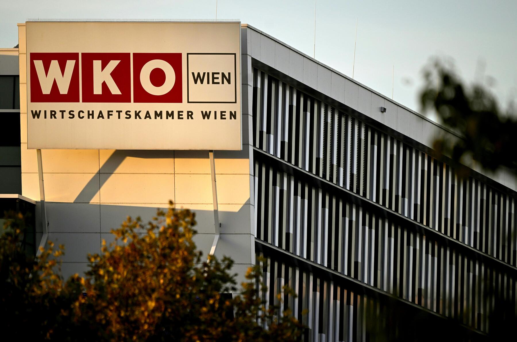 Wiens Wirtschaftskammer unterstützt Firmen nun bei Musterprozessen