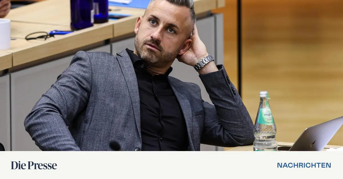 Macht-bernahme-AfD-Sachsen-Anhalt-informierte-sich-bei-Salzburger-FP-ber-Regierungsarbeit-premium-