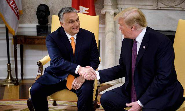 Viktor Orban besuchte Donald Trump 2019 im Weißen Haus, als dieser noch amtierender US-Präsident war.