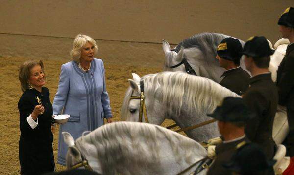 Gürtler empfing die Herzogin in der Sommerreitschule, wo Camilla geduldig für Fotos mit zwei Lipizzanern und deren Bereitern posierte, die Pferde streichelte und mit Zuckerwürfeln fütterte. "Das ist natürlich eine große Ehre, ich bin schon sehr aufgeregt", verriet Hannah Zeitlhofer, die erste weibliche Bereiterin der Hofreitschule, vor dem Eintreffen des hohen Besuchs den Journalisten. Sie ritt den Hengst Siglavy Batosta, ebenso zu sehen war ein seltener "brauner Glücksbringer" - nur einer von Hundert Lipizzanern bleibt dunkel.