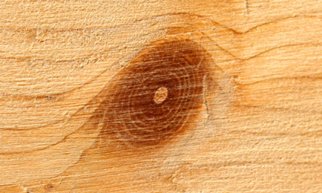 Molekularkueche fuer Designer