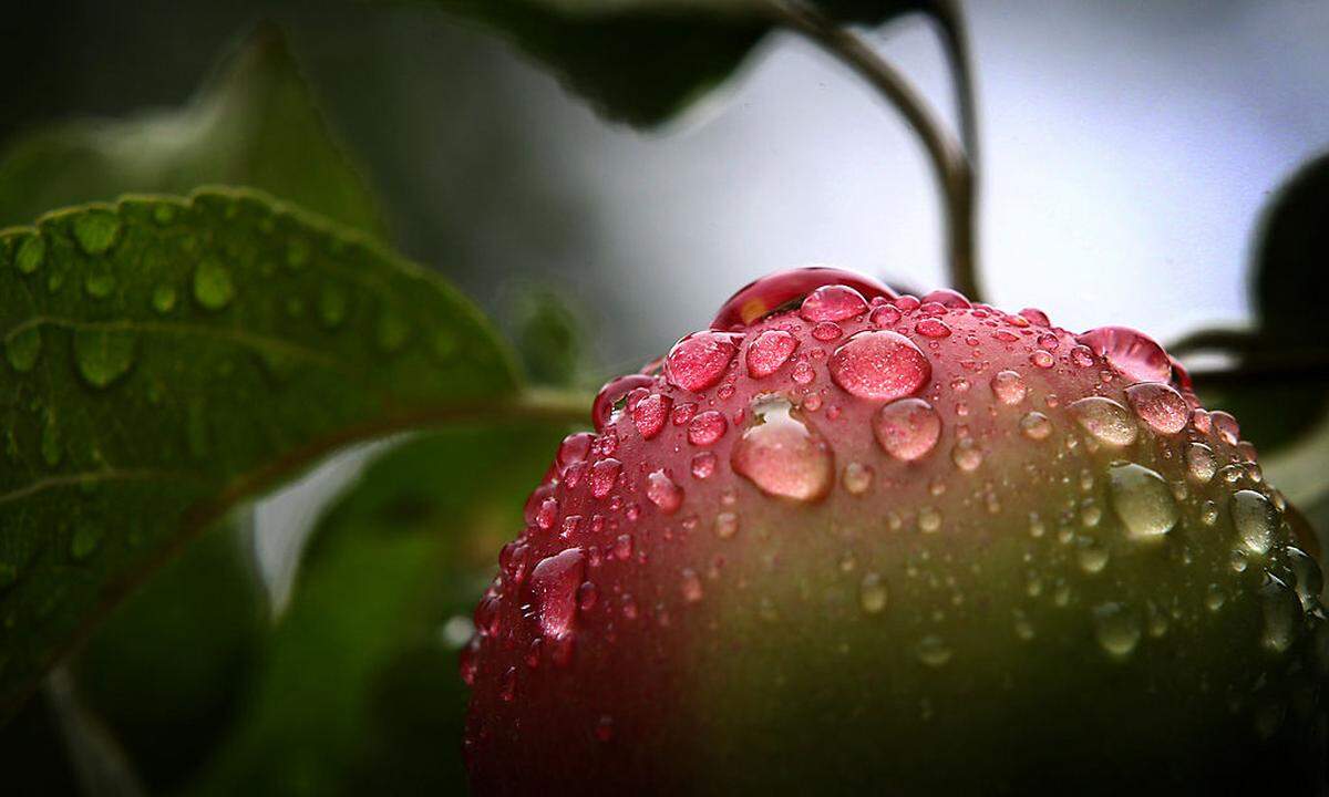 Apfel im Regen