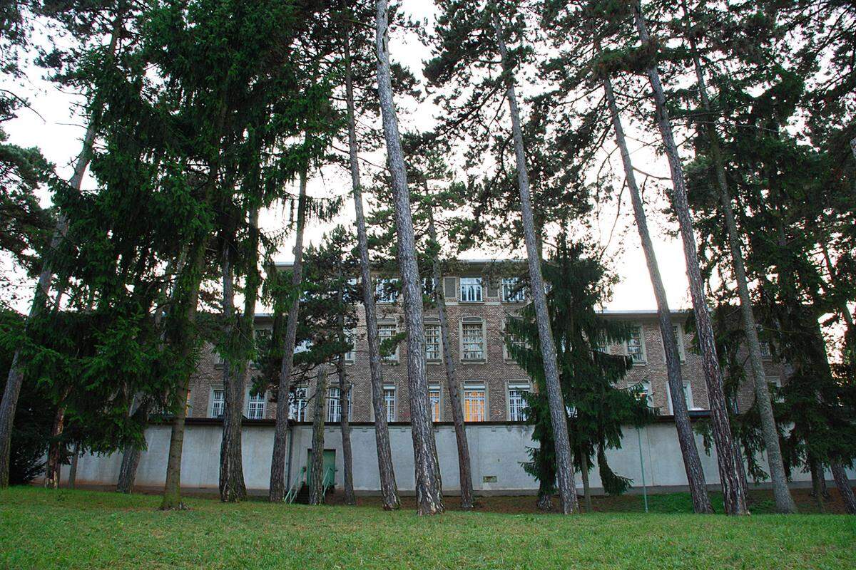 1907 wurde das Otto-Wagner-Spital am Südhang des Galitzinbergs im Westen von Wien fertiggestellt. "Steinhof" war damals die größte und modernste psychiatrische Anstalt Europas. Die Architektur des Spitals und die Situierung der Pavillons in der Landschaft ist einzigartig.