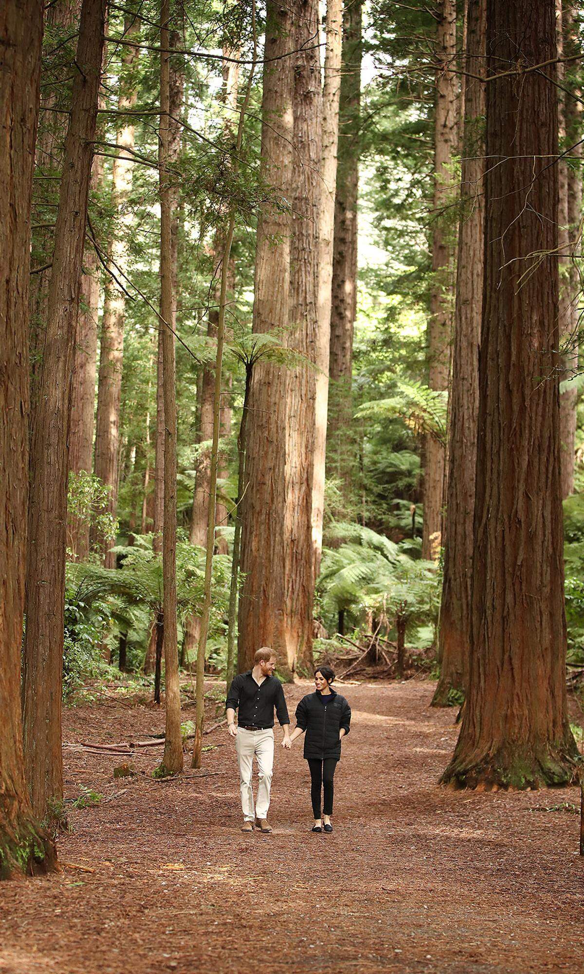 Frische Waldluft schnupperten Meghan und Harry bei einem Spaziergang durch die Redwoods von Rotorua – der letzte offizielle Termin ihrer 16-tägigen Reise. Winzig wirkt das royale Paar zwischen den meterhohen Baumriesen.