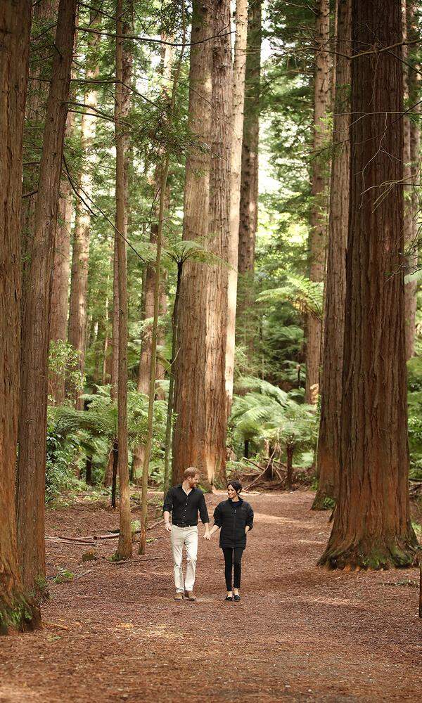 Frische Waldluft schnupperten Meghan und Harry bei einem Spaziergang durch die Redwoods von Rotorua – der letzte offizielle Termin ihrer 16-tägigen Reise. Winzig wirkt das royale Paar zwischen den meterhohen Baumriesen.