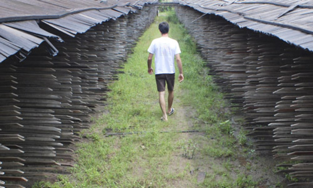  - Der Eigner einer illegalen Sägemühle im brasilianischen Bundesstaat Para.