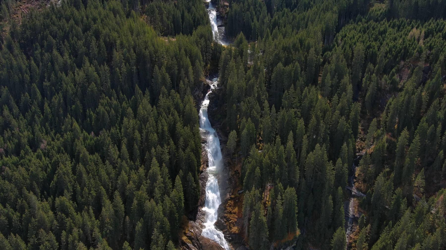 Real estate instead of trees save the Federal Forest – Diepresse.com