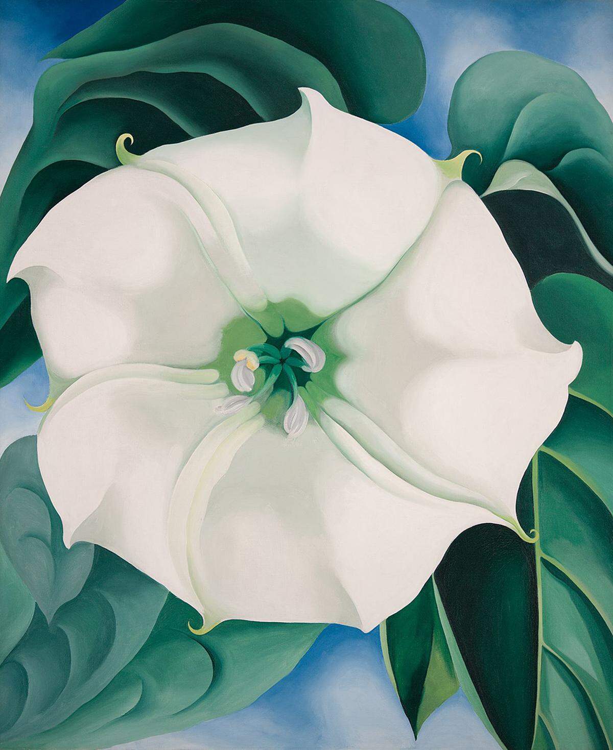 Denn O'Keeffe ist teuer. 44,5 Millionen Dollar kostete dieses Blumenstillleben. Mit ihrer Versöhnung von Abstraktion und fotografischen Close-Up haben O'Keeffes Bilder geradezu ikonischen Charakter bekommen. Georgia O’Keeffe: "Jimson Weed/White Flower No. 1", 1932  