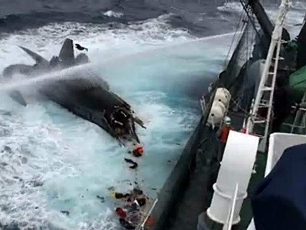 Die Auseinandersetzungen zwischen japanischen Walfängern und ihren Gegnern haben eine neue Stufe erreicht: Bei einer Protestaktion in der Antarktis stieß ein japanisches Walfangschiff mit einem Hightech-Schnellboot von Umweltaktivisten zusammen.
