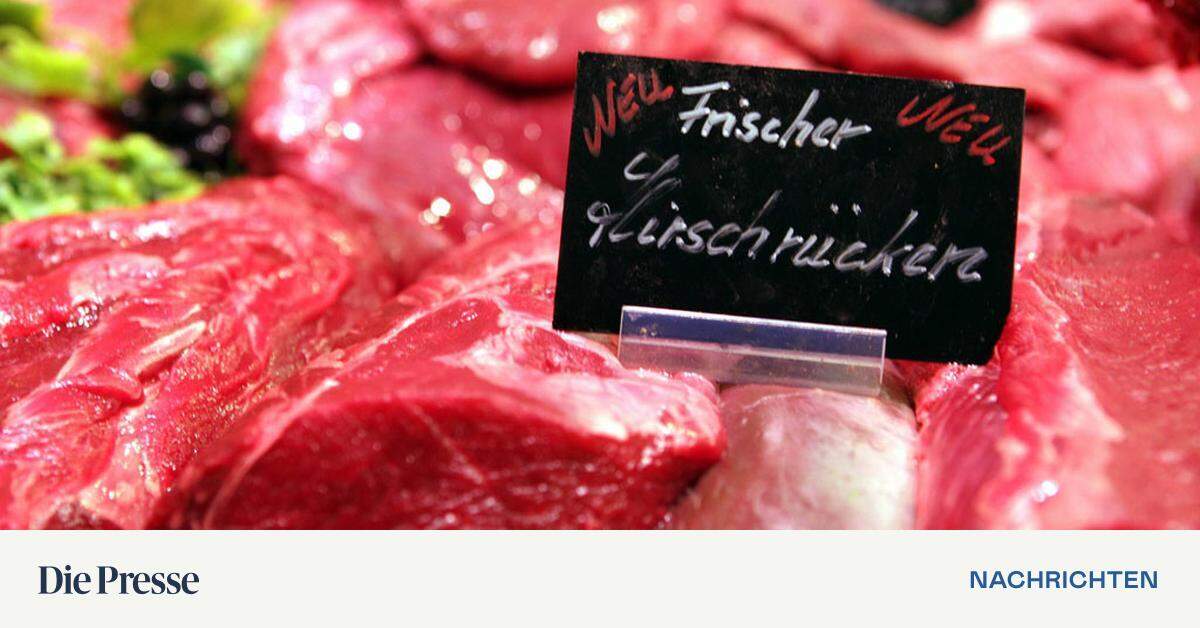 Auch Wildbret passt auf den Grill | DiePresse.com