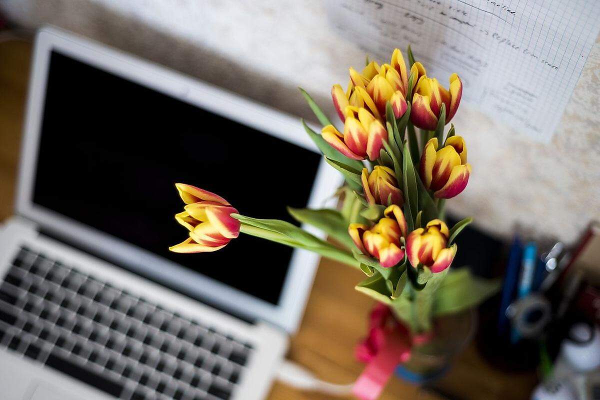 38 Prozent freuen sich über kleine Aufmerksamkeiten des Arbeitgebers zu besonderen Anlässen, etwa Schokolade zu Ostern oder Blumen zum Valentinstag.