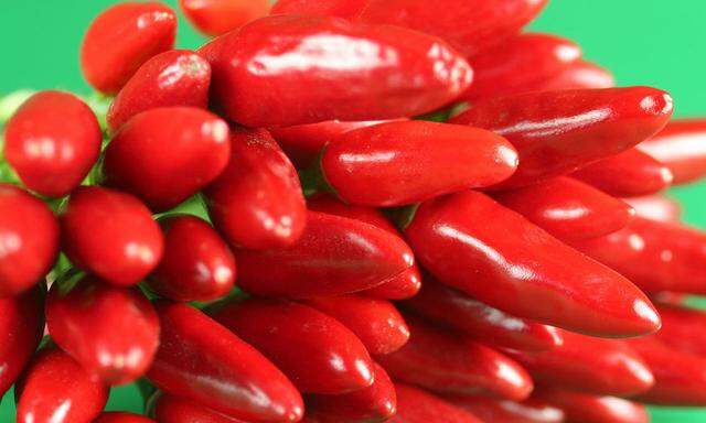 Chillischoten - red peppers