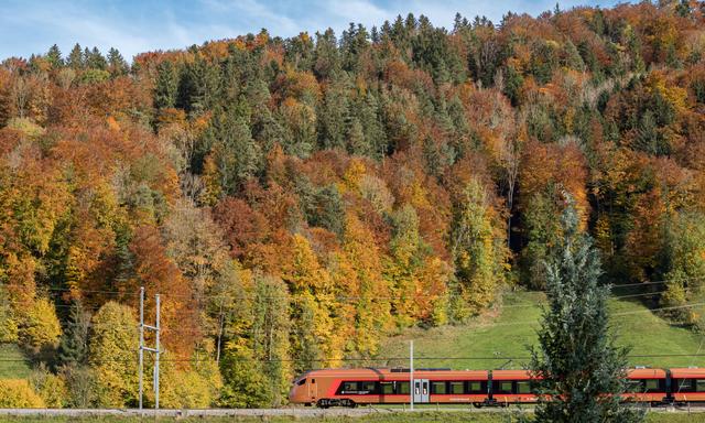 Bunte Blätter im Herbst. 