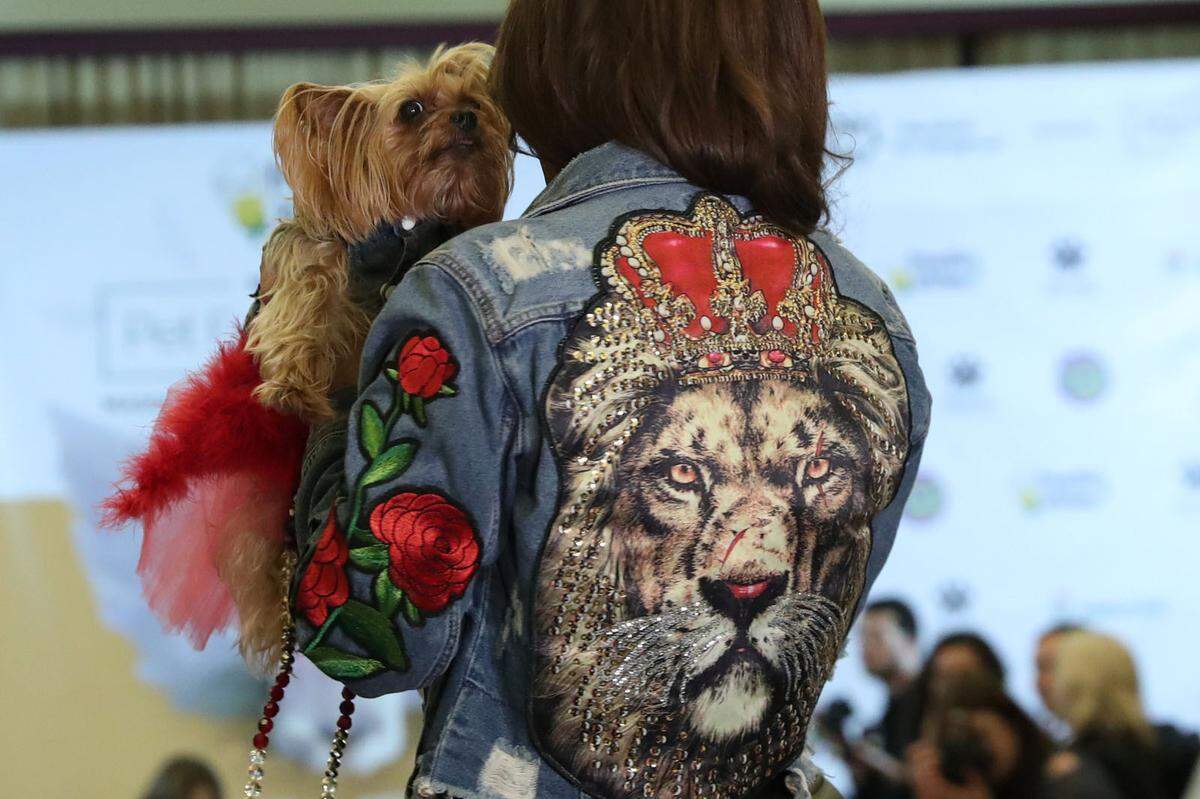 Partnerlook? Löwe auf der Jeansjacke und Yorkshire-Terrier auf dem Arm.