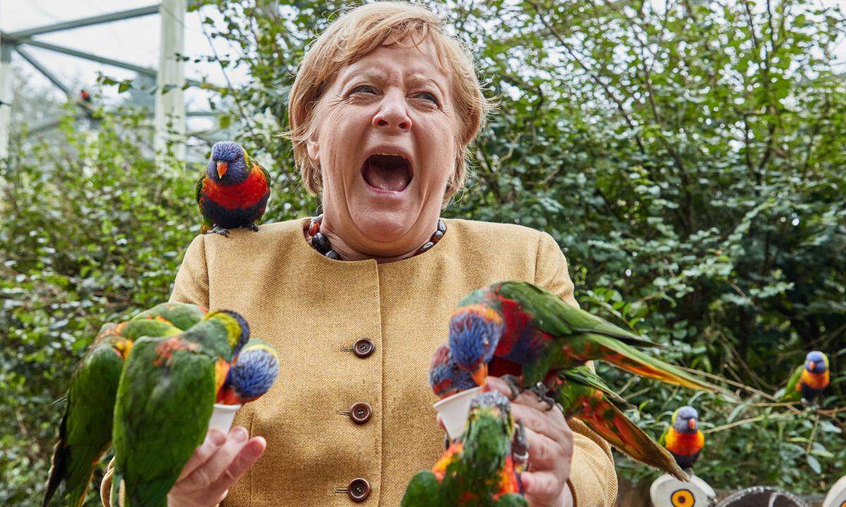 23. September.  Die Fotobeschreibung der Deutschen Presse-Agentur kann nicht einmal annähernd beschreiben, wie legendär dieses Foto mittlerweile geworden ist: "Angela Merkel (CDU), Bundeskanzlerin, füttert australische Loris im Vogelpark Marlow und wird dabei gebissen."
