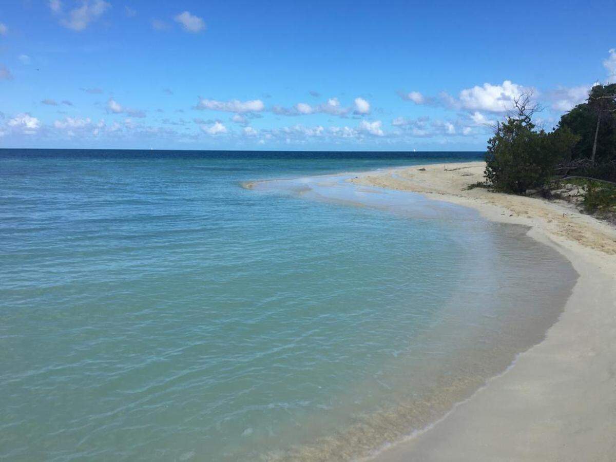 Und noch einmal Kuba: Der Name "Playa Paraíso" drückt es schon aus. Feinster Sand, helltürkises Meer und Sonne das ganze Jahr über machen den Strand auf Cayo Largo zum beliebten Reiseziel.