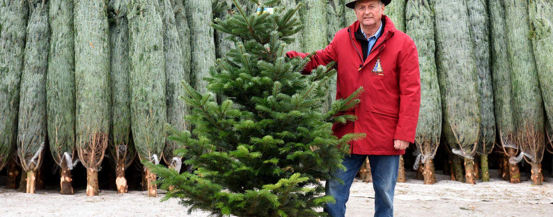 „Ein Baum ist ein Kraftspender“: Christbaumbauer Franz Raith auf seinem Hof im Waldviertel. 