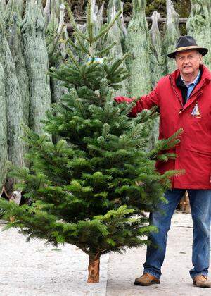 „Ein Baum ist ein Kraftspender“: Christbaumbauer Franz Raith auf seinem Hof im Waldviertel. 