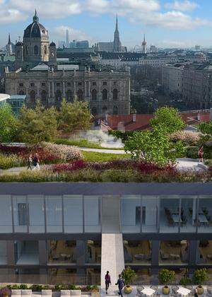 Ein Dachgarten in Wien als Anziehungspunkt und Frequenzbringer für das neue Kaufhaus, verantwortet vom Büro DnD.