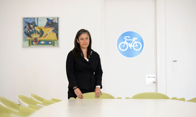 Die grüne Vizebürgermeisterin, Maria Vassilakou